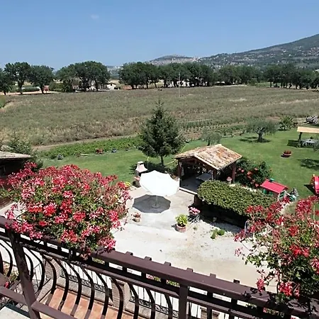 Il Tugurio