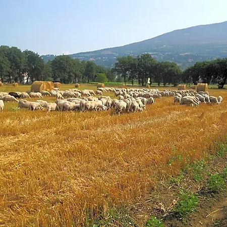 Il Tugurio ריווטורטו