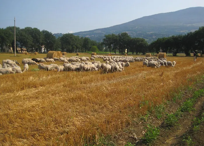 Bed & Breakfast Il Tugurio Rivotorto